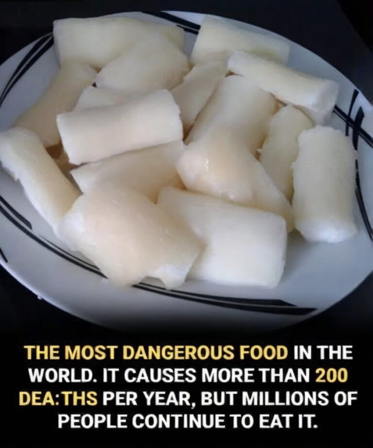 World’s Deadliest Food – The Famous Delicacy That Can Turn Dangerous Fast