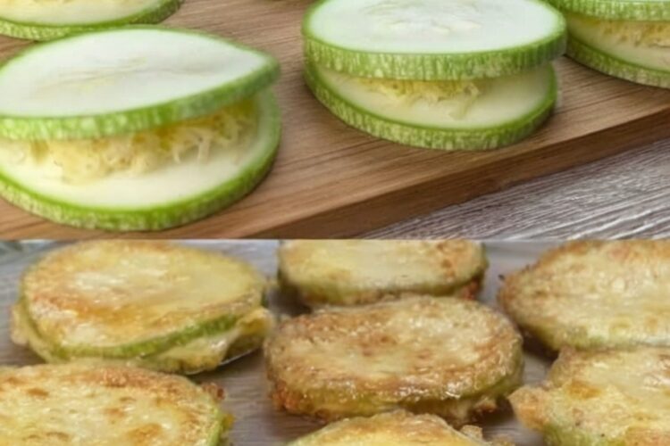 Scalloped zucchini casserole creamy and golden on top